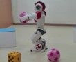 topu tutan robot