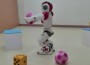 topu tutan robot topu tutan robot