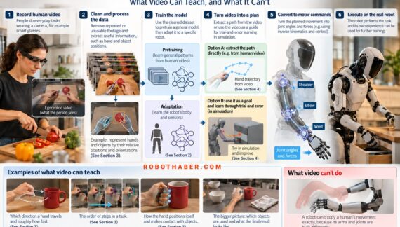 İnsansı Robotlar İnsanlardan Nasıl Öğreniyor